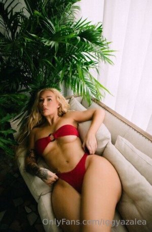 Iggy (1).jpg